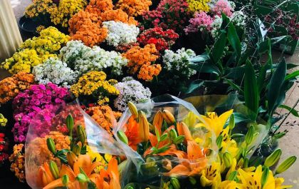10 Dicas de como escolher flores pra presentear sua mãe