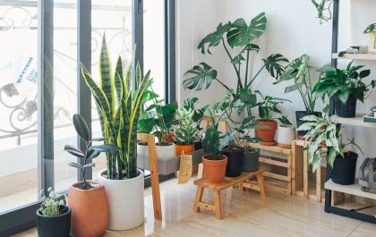 Itens de decoração para uma casa digna de boas fotos!&nbsp;