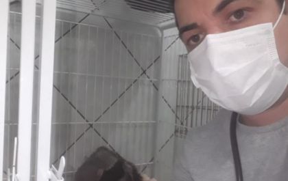 Três-lagoense cuida de animais silvestres para devolvê-los a natureza