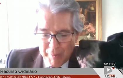 Cachorro 'invade' sessão online do Tribunal de Contas