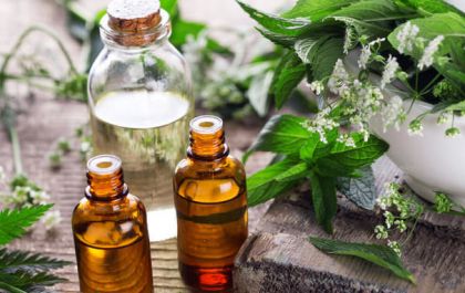 Xô inseto! Repelentes naturais e seguros para pele e ambientes
