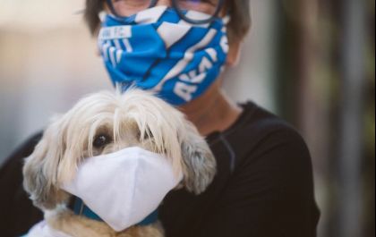 Uso de máscaras em cães e gatos é necessário em tempos de pandemia? - Entenda!