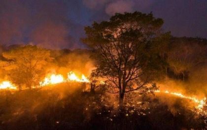 Fogo no Pantanal passa de dois milhões de hectares