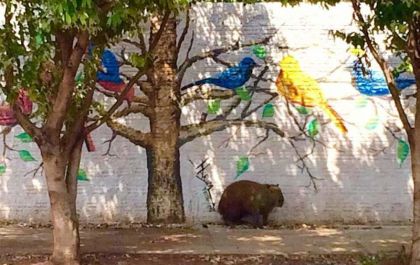 Capivara descansa debaixo de árvore pintada no Jardim Alvorada