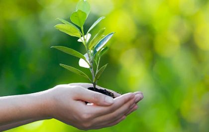 Dia da natureza: os aspectos do desenvolvimento sustentável