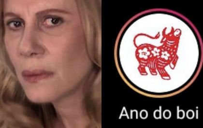 “Ano do Boi”: entenda o que significa o novo filtro do Instagram