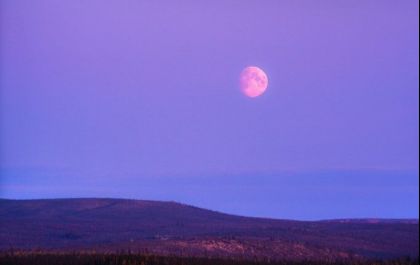 Superlua rosa acontece na próxima semana