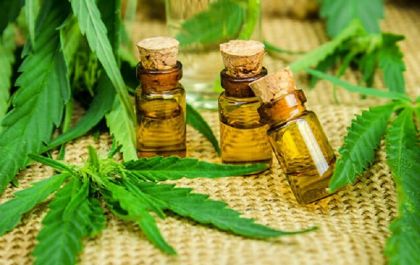 Derivado da maconha traz esperança para criança com crise convulsiva em TL