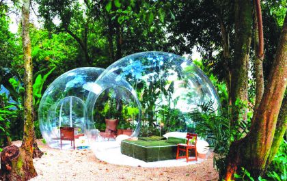 Jardim secreto: conexão total com a natureza