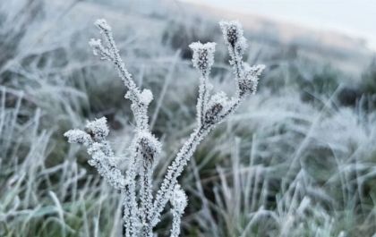 Meteorologia prevê frio intenso e geada para a segunda quinzena de julho
