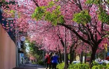 Ela chegou: Primavera começa hoje