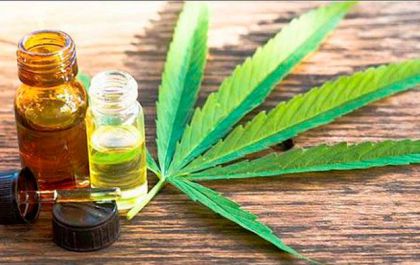 Tratamento com cannabis, entenda o porquê do preconceito