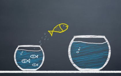Transição de carreira: dicas para (re)começar com o pé direito