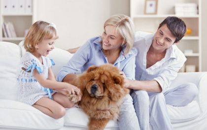 Como preparar a casa para receber o pet