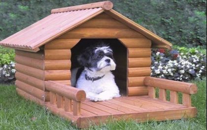 Saiba como escolher a melhor casinha para cachorro