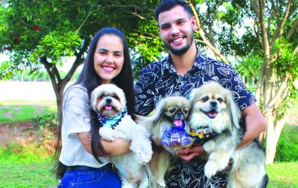 Amigo Bicho: Um lar para eles