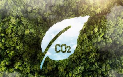 Crédito de carbono: você sabe o que é?
