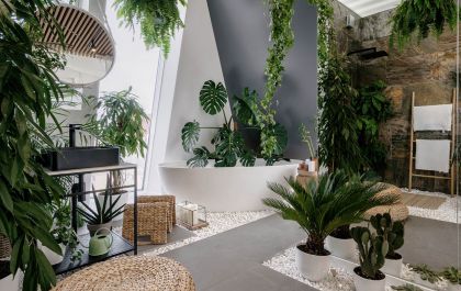 Urban Jungle: A tendência que transforma sua casa e a deixa cheia de vida
