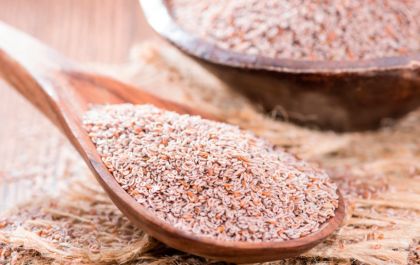 O que é psyllium e como essa fibra pode ajudar sua saúde intestinal