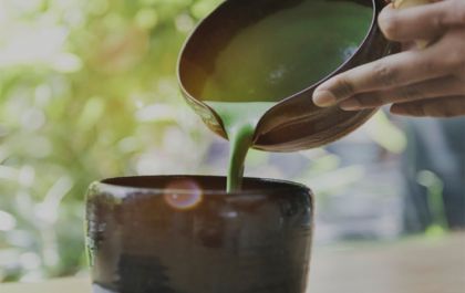 Moringa Oleífera: Um alimento supernutritivo