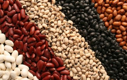 Feijão: Conheça um dos aliados da dieta