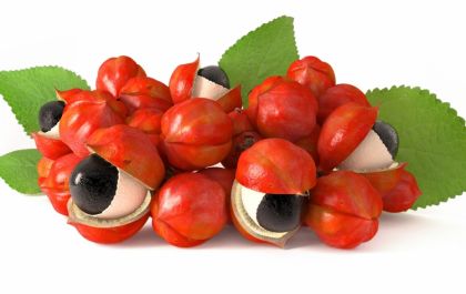Guaraná e unha-de-gato para melhorar o bem-estar de pessoas com câncer