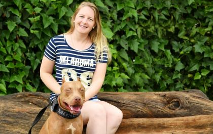 CUIDADO! Você corre perigo de se apaixonar pelo jeito dócil e brincalhão deste Pitbull
