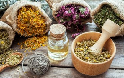 Conheça a prática milenar que transforma plantas e raízes em medicamentos naturais