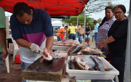 Feira do Peixe é cancelada em Três Lagoas