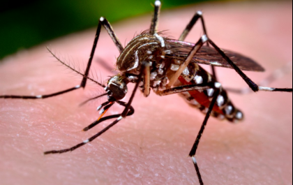 Casos positivos de Dengue chegam a 2.329 na 17ª Semana Epidemiológica em Três Lagoas